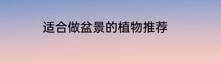 适合做盆景的植物推荐