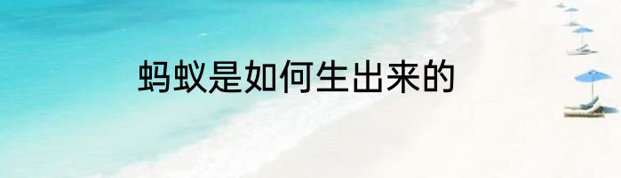 蚂蚁是如何生出来的