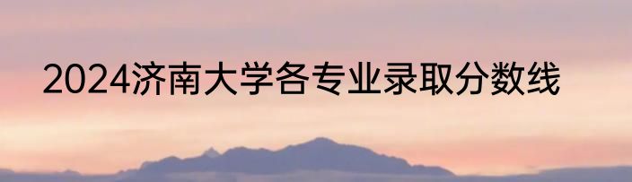 2024济南大学各专业录取分数线