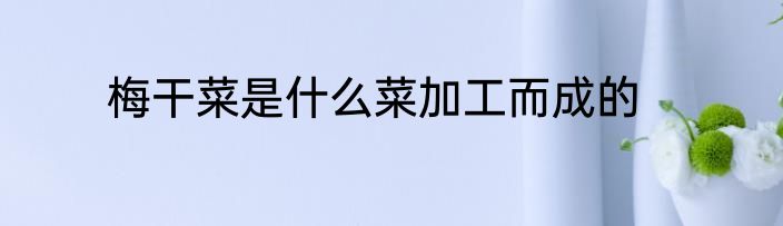 梅干菜是什么菜加工而成的