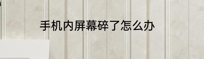 手机内屏幕碎了怎么办