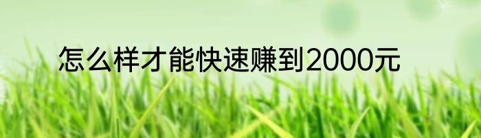 怎么样才能快速赚到2000元