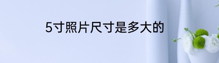 5寸照片尺寸是多大的