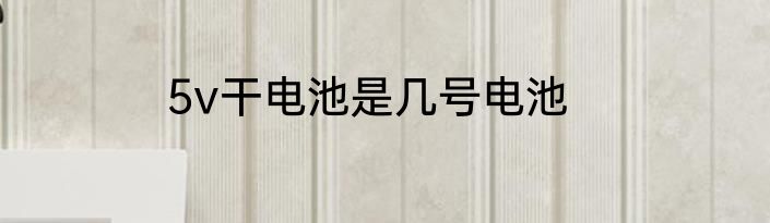 5v干电池是几号电池