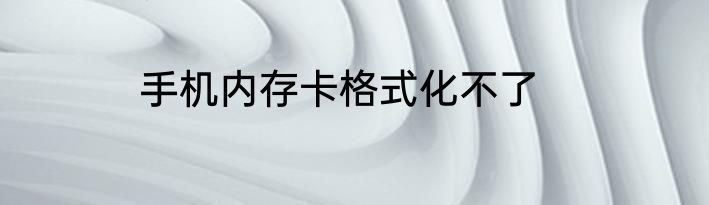 手机内存卡格式化不了