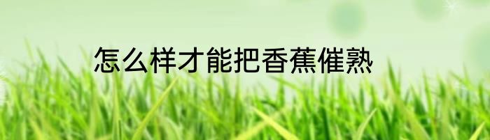 怎么样才能把香蕉催熟