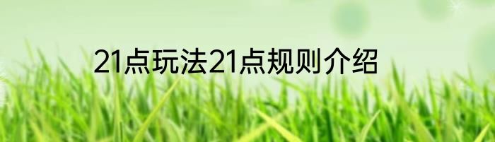 2024河南省高考填报志愿模拟演练入口