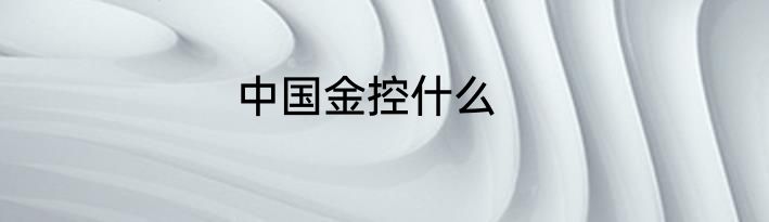 中国金控什么