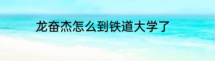 龙奋杰怎么到铁道大学了