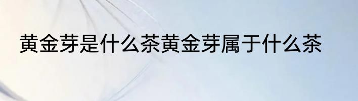 黄金芽是什么茶黄金芽属于什么茶