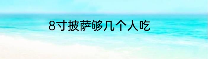 8寸披萨够几个人吃