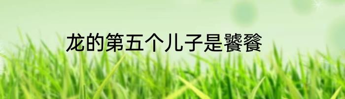 龙的第五个儿子是饕餮