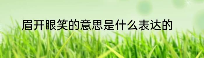 眉开眼笑的意思是什么表达的