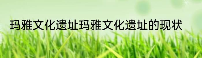 玛雅文化遗址玛雅文化遗址的现状