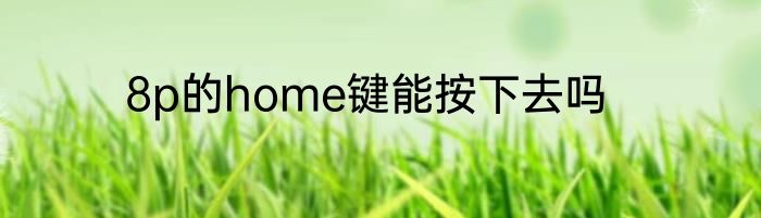 8p的home键能按下去吗