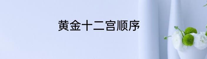 黄金十二宫顺序