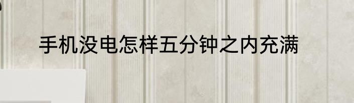手机没电怎样五分钟之内充满