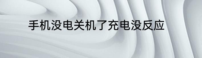 手机没电关机了充电没反应