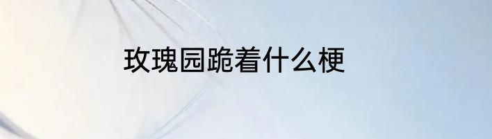 玫瑰园跪着什么梗
