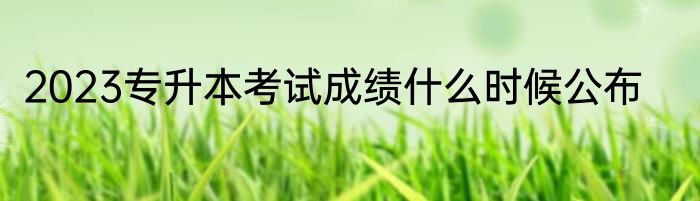 2023专升本考试成绩什么时候公布