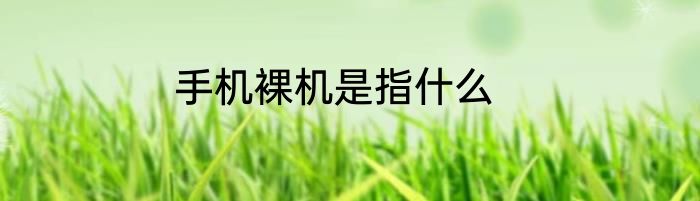 手机裸机是指什么