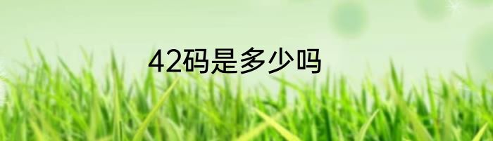 42码是多少吗