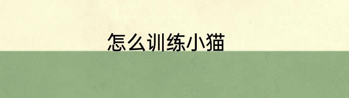 怎么训练小猫