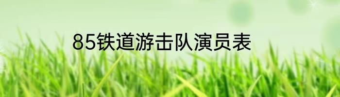 85铁道游击队演员表