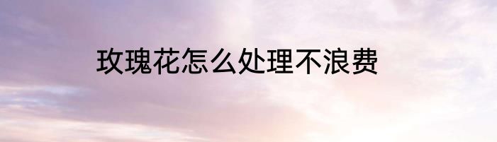 玫瑰花怎么处理不浪费
