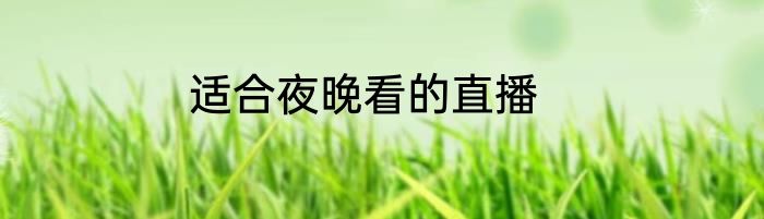 适合夜晚看的直播