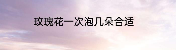 玫瑰花一次泡几朵合适