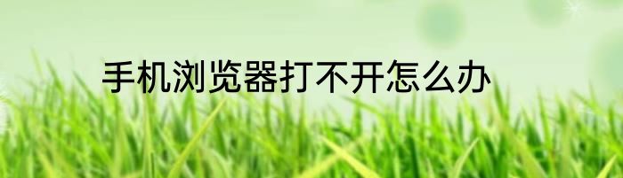 手机浏览器打不开怎么办