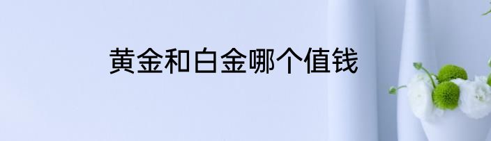 黄金和白金哪个值钱