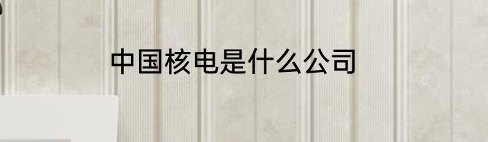 中国核电是什么公司