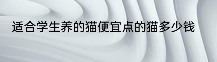 适合学生养的猫便宜点的猫多少钱