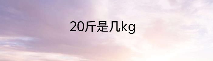 20斤是几kg