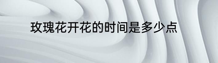 玫瑰花开花的时间是多少点