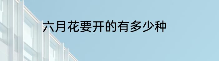 六月花要开的有多少种