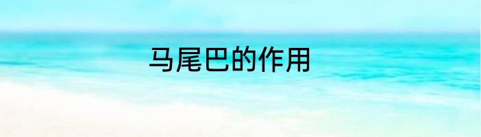 马尾巴的作用
