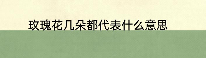 玫瑰花几朵都代表什么意思