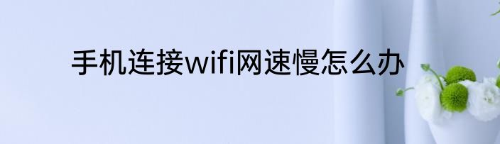 手机连接wifi网速慢怎么办