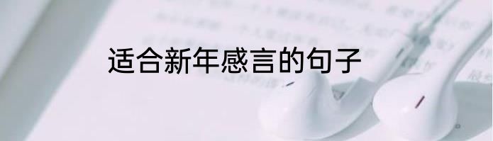 适合新年感言的句子