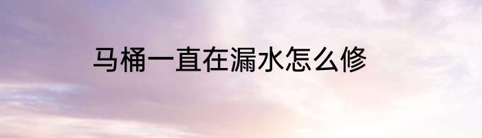 马桶一直在漏水怎么修