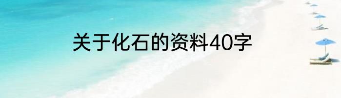 关于化石的资料40字