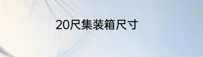 20尺集装箱尺寸