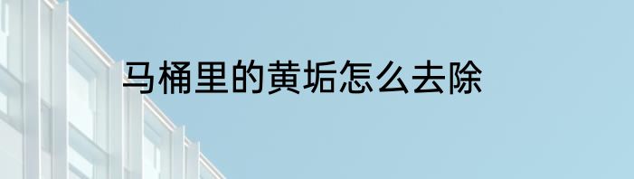 马桶里的黄垢怎么去除