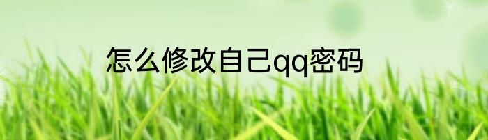 怎么修改自己qq密码