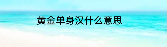 黄金单身汉什么意思