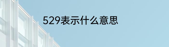 529表示什么意思