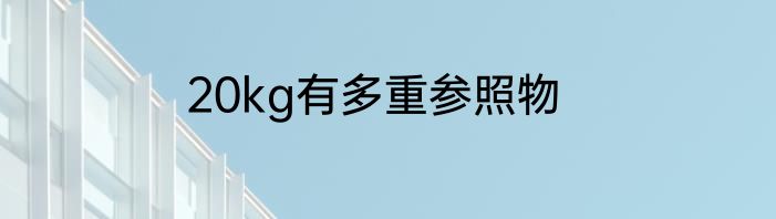 20kg有多重参照物
